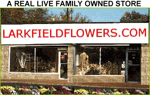 Larkfield Flowers corporate offices