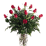 dozenroses