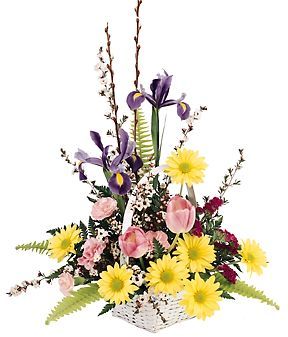 white basket filled with assorted spring flowers such
       as Carnations, Statice, Iris, Daisies and Tulips