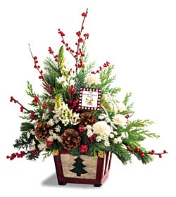 Star of Bethlehem, Queen Anne's Lace, mini carnations, winter berries and Christmas greens