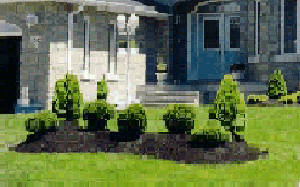 raised islands