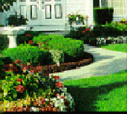Shrubs and flowering beds