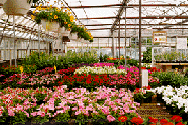 Greenhouse products and nurseries