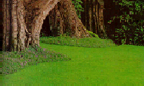new lawns seed or sod
