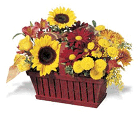fall arrangement filled with flowers such as fall mums, alstroemeria, and yellow 	aster